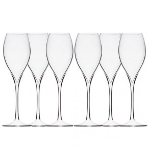 Flute à Champagne Opale 17cl