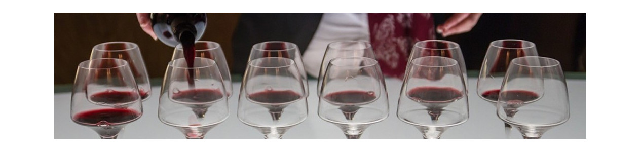 Sélection d'accessoires pour le service du vin - Grossiste Cavistes / CHR